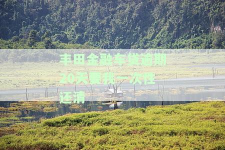 丰田金融车贷逾期20天要我一次性还清