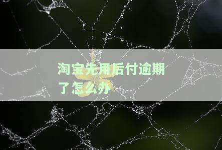 淘宝先用后付逾期了怎么办,关闭功能了我付不了怎么办，解决淘宝先用后付逾期问题：逾期未还，功能被关闭，如何支付?