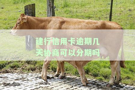 建行信用卡逾期还款后多久恢复使用及额度？