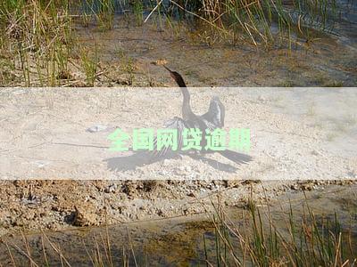 2023年全国网贷逾期人数：协商还款方式解析