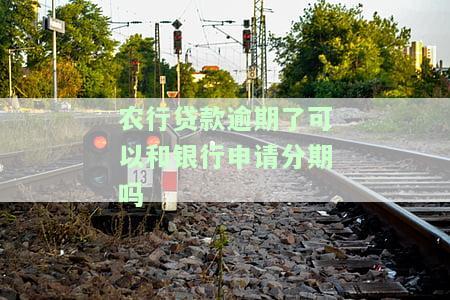 农业银行贷款到期还不上，可否分期或续期？