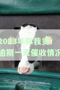 2023年你我贷逾期一天催收情况及逾期一年后的最新进展