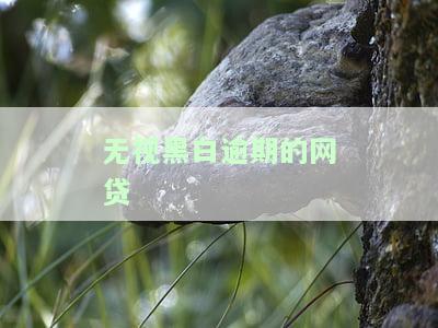 无视黑白逾期的网贷-无视黑白逾期的网贷有哪些