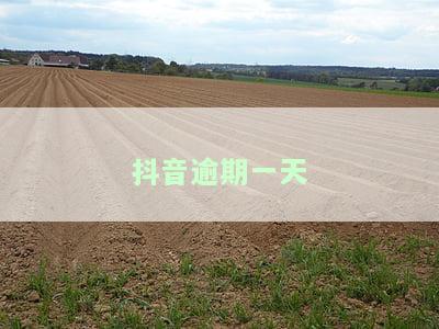 抖音逾期一天还款会影响征信吗？解答你的疑惑