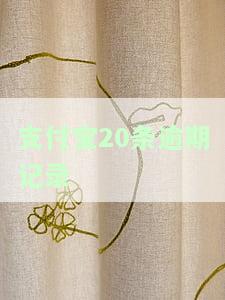 支付宝20条逾期记录能否通过人工客服消除？