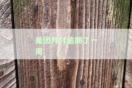 美团月付逾期一周，如何解决？