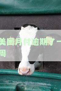 美团月付逾期了一周还能用吗，美团月付逾期一周后能否继续使用？