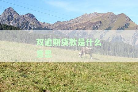银行双逾贷款是指哪双逾？详解逾期贷款含义与分类