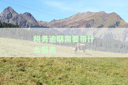 税逾期申报所需资料：准备哪些前往税务局？
