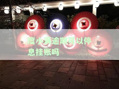 度小满逾期可以停息挂账吗-度小满逾期可以只还本金吗