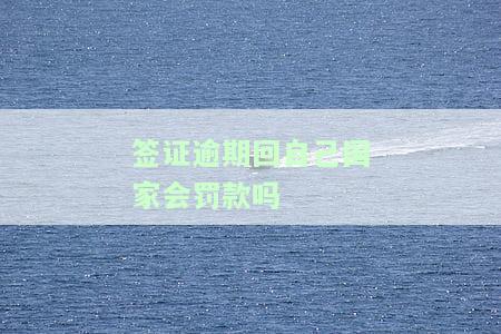 签证逾期回自己国家会罚款吗知乎，知乎用户热议：签证逾期后返回原国是否会面临罚款？