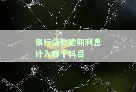 银行贷款逾期利息计入哪个科目里，银行贷款逾期利息的会计处理：计入哪个会计科目？