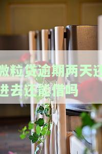 微粒贷逾期二天还能借吗？逾期二天如何还款及后果解析