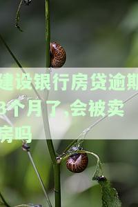 建行房贷逾期三个月怎么变成逾期金额0，解决建行房贷逾期问题：三个月内如何将逾期金额变为0？