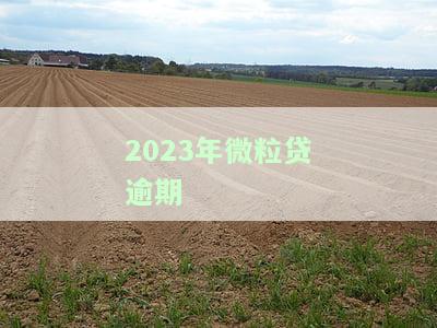 2023年微粒贷逾期2天，警示：2023年微粒贷逾期两天，影响深远！