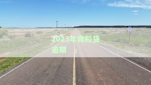 2023年微粒贷逾期最高能分多少期，2023年微粒贷逾期还款：可分多少期？