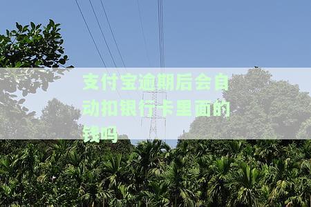 支付宝逾期了卡里有钱会不会自动扣，支付宝逾期未还款，卡内余额是否会自动扣除？
