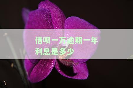 借呗一万块钱逾期一天多少利息，【热点】借呗一万块逾期一天利息是多少？计算方法全解析