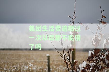 美团生活费逾期几天还了还可以再借吗，美团生活费逾期还款后还能再次借款吗？