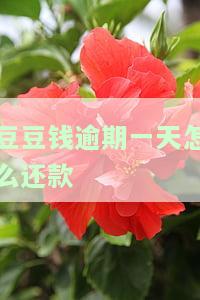豆豆钱逾期一天还款会不会影响其他平台借款么，豆豆钱逾期一天还款会影响在其他平台的借款吗？