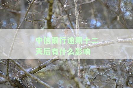 中信银行逾期十二天后的影响是什么？