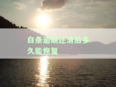 白条逾期还清后多久能恢复征信记录？关键信息全在这里！