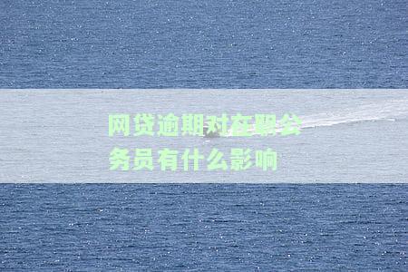 网贷逾期对在职公务员的影响：全面解析