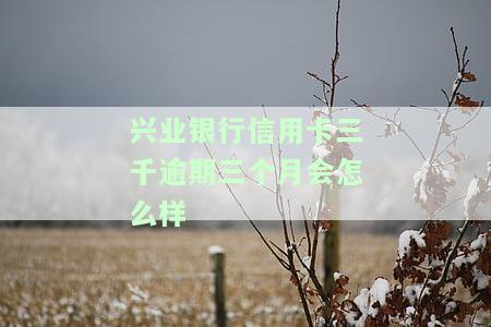 兴业银行逾期3个月一分没还会怎么样，兴业银行逾期三个月未还，后果严重！