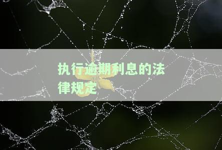 执行逾期利息的法律规定是，深入了解：执行逾期利息的相关法律规定