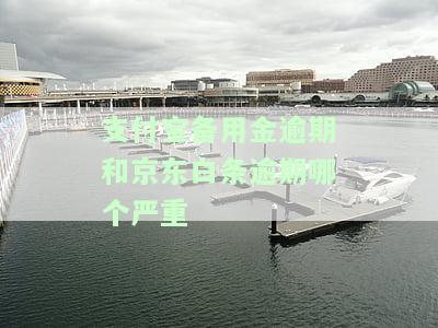 支付宝备用金逾期和京东白条逾期哪个严重