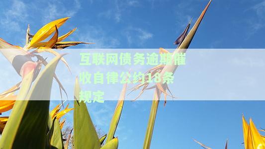 互联网债务逾期催收自律公约18条规定是什么，揭秘互联网债务逾期催收自律公约18条规定