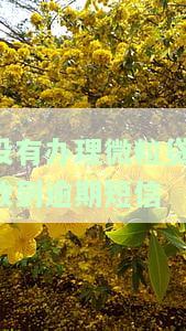 没有办理微粒贷,收到逾期短信如何处理？