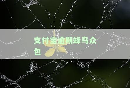 支付宝逾期蜂鸟众包提现被直接划扣，是否还能正常提现？蜂鸟众包是否存在恶意扣款行为？
