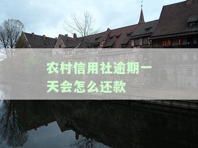 农村信用社逾期一天怎么还款啊，如何在农村信用社逾期一天后进行还款？