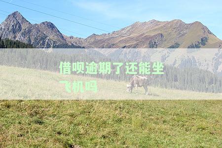 借呗逾期了能坐飞机嘛，借呗逾期后能否继续乘坐飞机？
