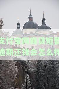 支付宝网商贷逾期一天后果严重，具体影响是什么？