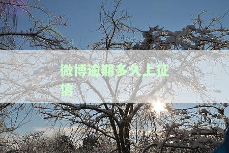 微博逾期多久上征信