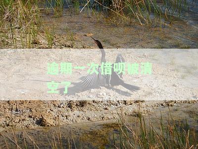 借呗逾期一次被关掉，警惕！借呗逾期一次即遭关闭，切勿忽视还款责任