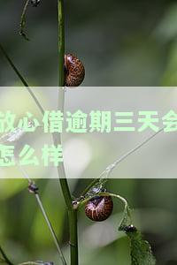 放心借逾期几天：影响征信，可能拨打联系人电话
