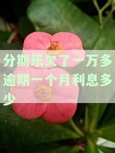 分期乐欠了一万多逾期一个月会怎么样，分期乐欠款一万多逾期一个月的后果是什么？