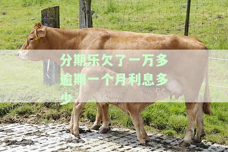 分期乐借一万逾期一年所需还款金额是多少？逾期一年多后的后果是什么？