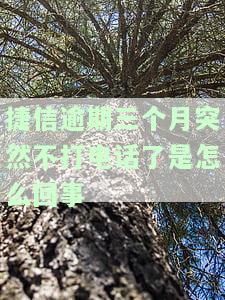 捷信逾期三个月天天打电话催，突然停止催收原因及上门时间解析