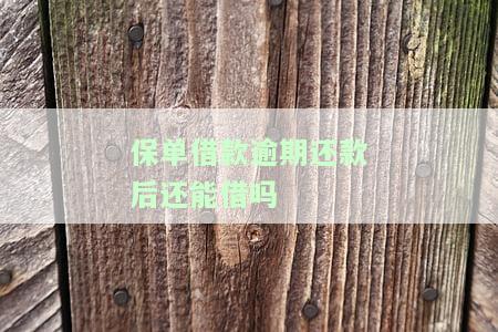 保单借款逾期还款后还能借吗知乎，保单借款逾期还款后，能否再次借款？——知乎上的讨论与建议
