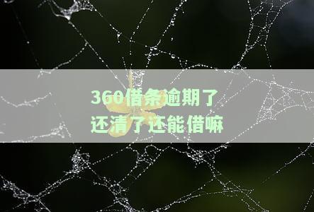 逾期了还清了还能借嘛怎么办，解决逾期后能否再借款的问题