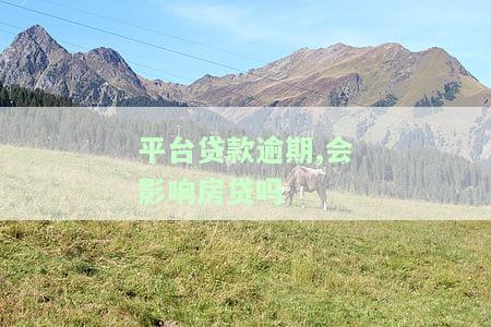 其他平台贷款逾期影响房贷，逾期还款会影响房贷申请：其他平台贷款的逾期记录也需注意！