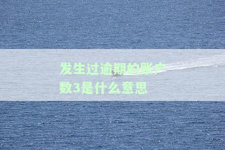 发生过逾期的账户数2是什么意思，解读：‘发生过逾期的账户数2’意味着什么？