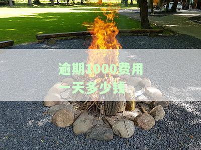 逾期1000多天怎么应对，逾期1000多天？教你如何应对还款难题！