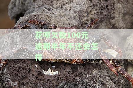 花呗逾期100块半年后能否继续贷款？影响因素是什么？