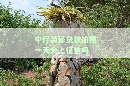 中行装修贷款逾期一天会上征信吗，中行装修贷款：逾期一天是否会影响个人征信？