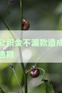 公积金不漏款造成逾期-公积金不漏款造成逾期怎么处理